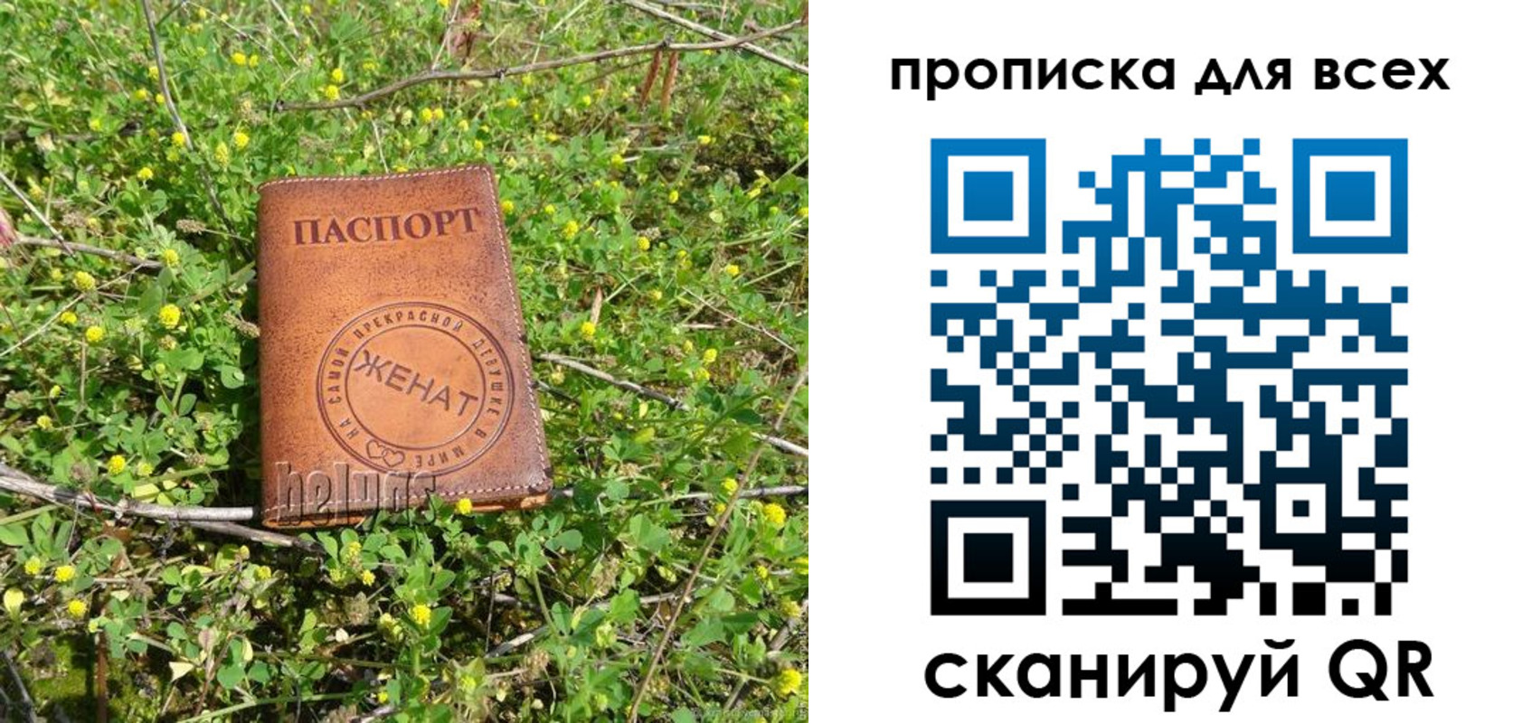 прописка поиск в Читинской области